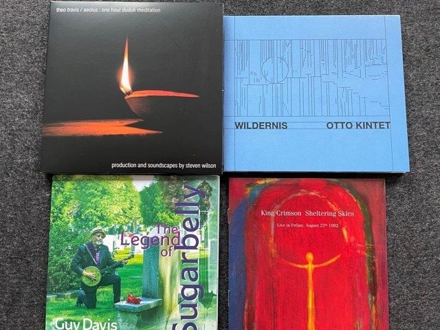 Meine 4 Hörtipps: King Crimson: Sheltering Skies, Guy Davis: The Legend Of Sugarbelly, Otto Kintet: Wildernis, Theo Travis: Aeolus: One Hour Duduk Meditation